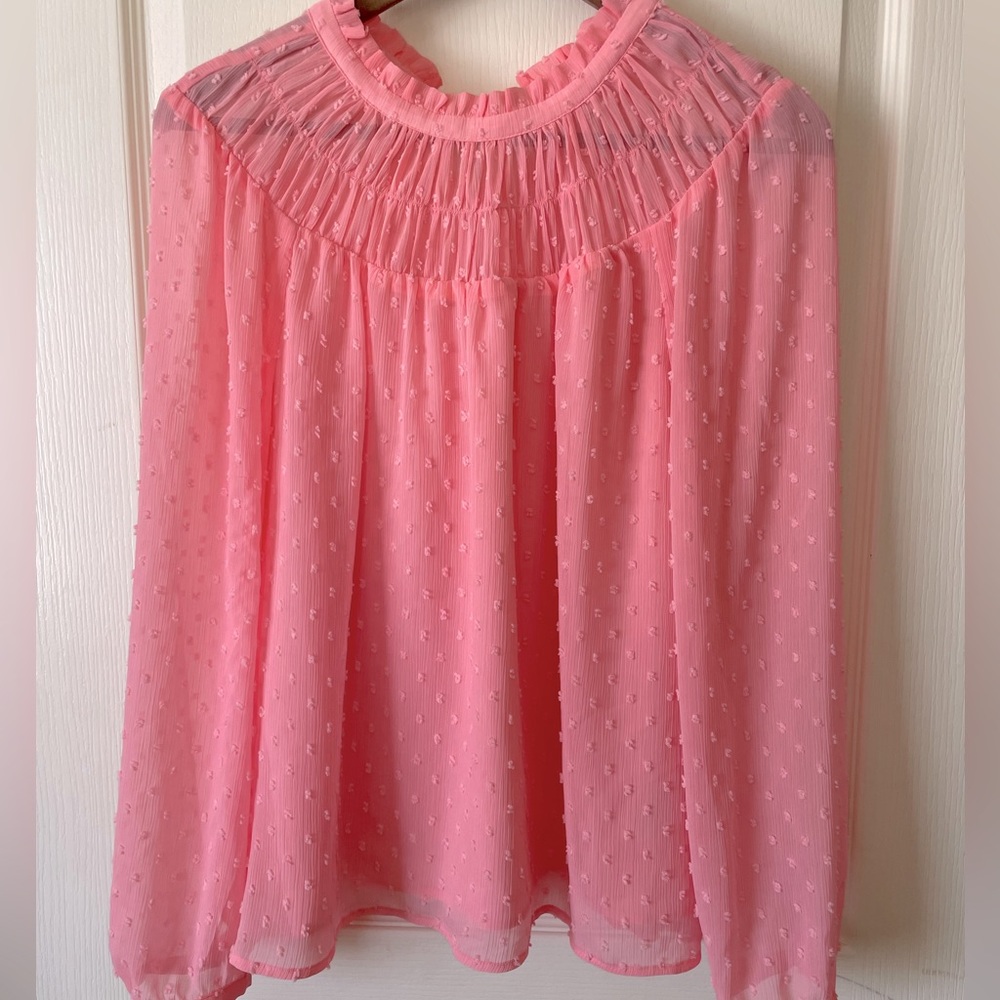 J.Crew summer pink top with sheer sleeves